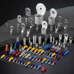 Ferrule